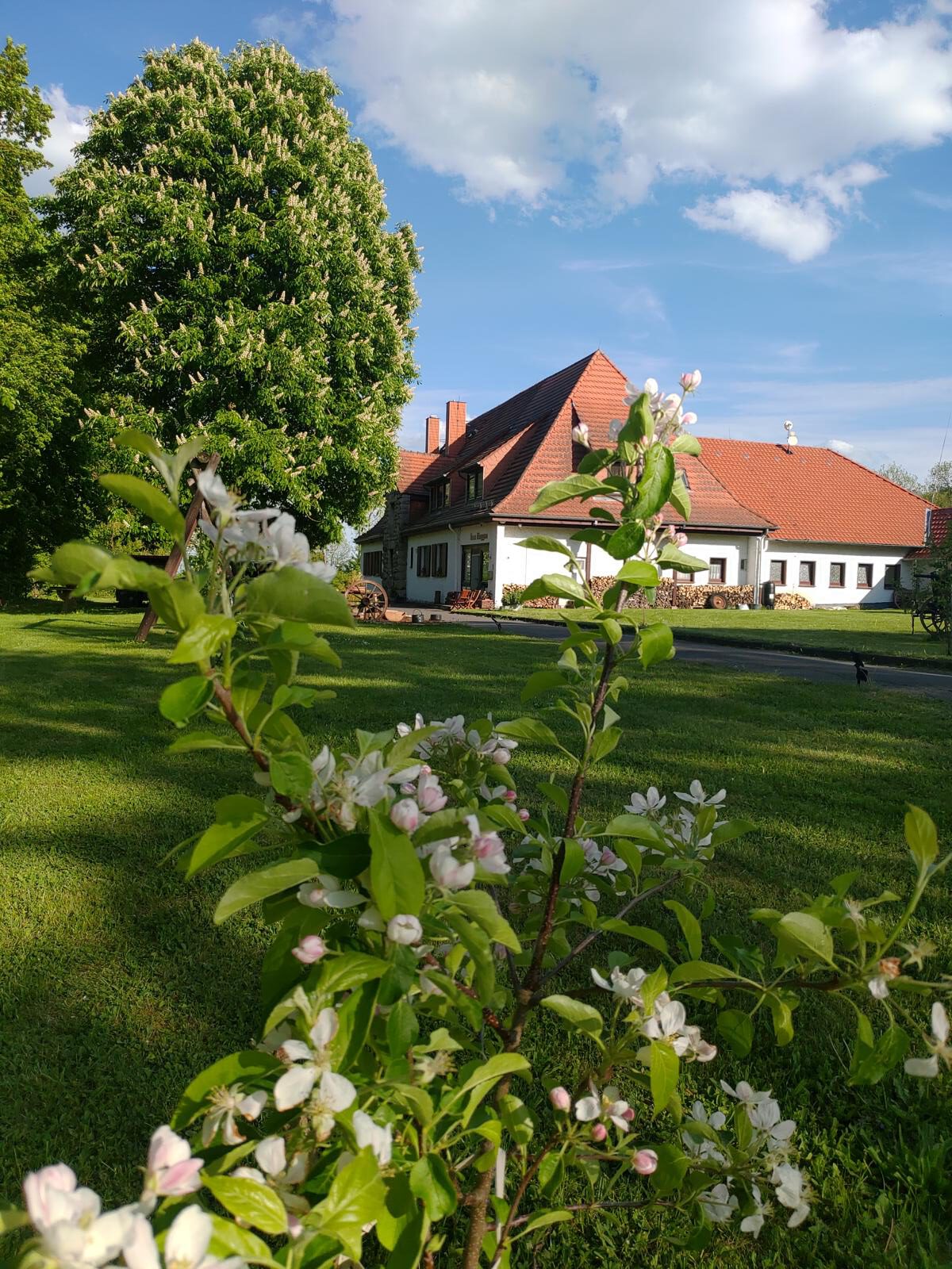 Apfelblüte im Ringgau Werratal - Urlaub in Deutschland
